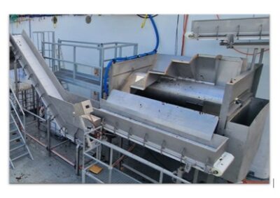 Blanching/Iodine Reduction