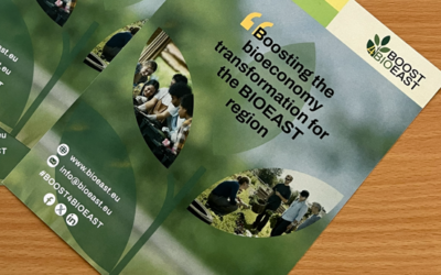 Sirputis Presented Its Vision at the 2nd Lithuanian Bioeconomy HUB Strategic Session