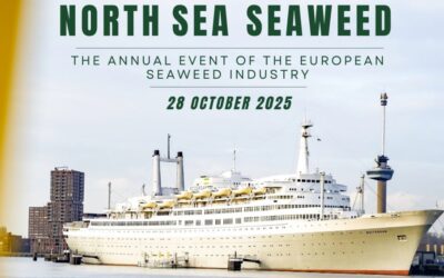 Reflection on Event: North Sea Seaweed