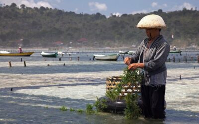 Market Opportunity 2025
