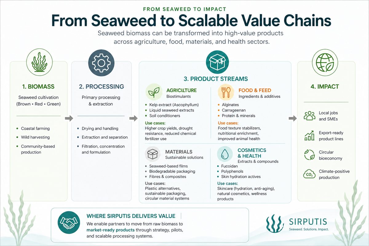 Seaweed value chain — from farming to market applications